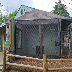 Apr. 2025 - Corcovado Jungle - La Selva Amazonica - Pied Tamarin Exhibits