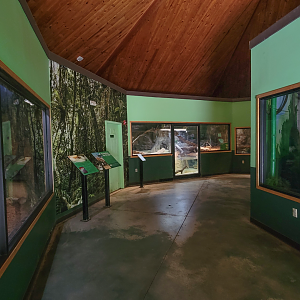 Apr. 2025 - Deserts & Forests of the World - General View