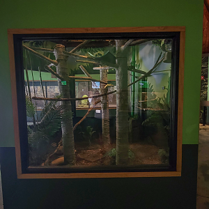 Apr. 2025 - Deserts & Forests of the World - Linne's Two-toed Sloth Exhibit