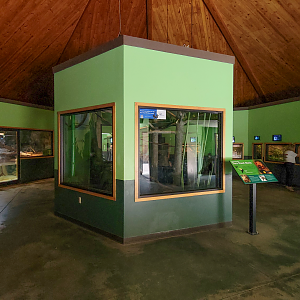 Apr. 2025 - Deserts & Forests of the World - General View