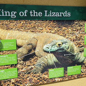 Apr. 2025 - Deserts & Forests of the World - Komodo Dragon Signage