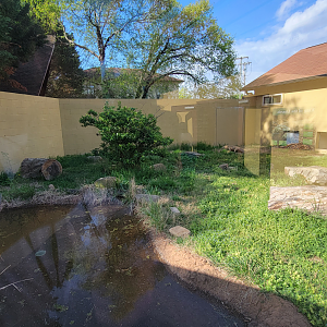 Apr. 2025 - Deserts & Forests of the World - Komodo Dragon