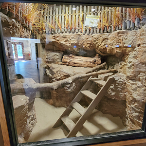 Apr. 2025 - Deserts & Forests of the World - Unsigned Empty Exhibit