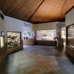 Apr. 2025 - Deserts & Forests of the World - General View