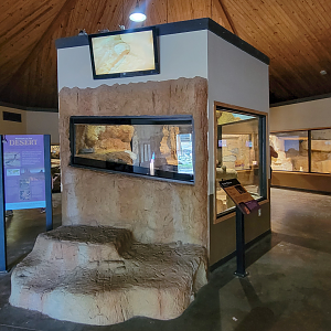 Apr. 2025 - Deserts & Forests of the World - General View