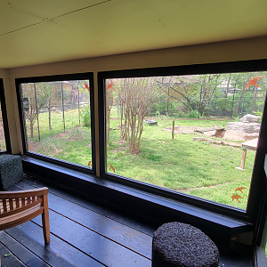 Apr. 2025 - Walkin’ the Tracks - Cougar Viewing