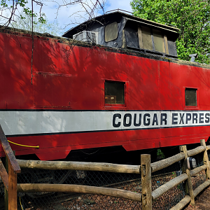 Apr. 2025 - Walkin’ the Tracks - Cougar Express
