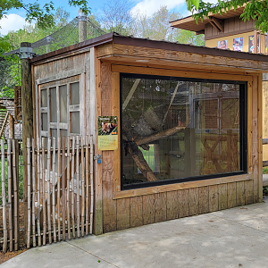 Apr. 2025 - Himalayan Passage - Red Panda Indoor Exhibit (1 of 2)