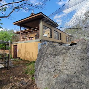 Apr. 2025 - Himalayan Passage - White-cheeked Gibbon Exhibit