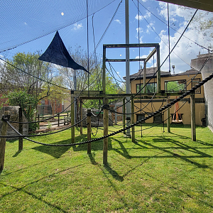 Apr. 2025 - Himalayan Passage - White-cheeked Gibbon Exhibit