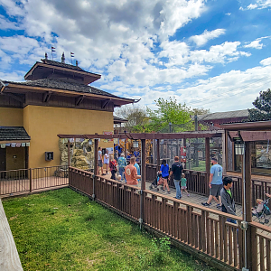 Apr. 2025 - Himalayan Passage - General View