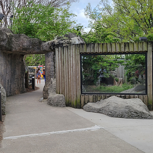 Apr. 2025 - Himalayan Passage - Chinese Alligator Exhibit