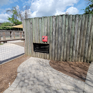 Apr. 2025 - Himalayan Passage - Chinese Alligator Exhibit Small Viewing Window