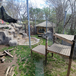 Apr. 2025 - Himalayan Passage - Snow Leopard Exhibit