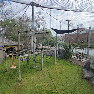 Apr. 2025 - Himalayan Passage - White-cheeked Gibbon Exhibit - Upper View