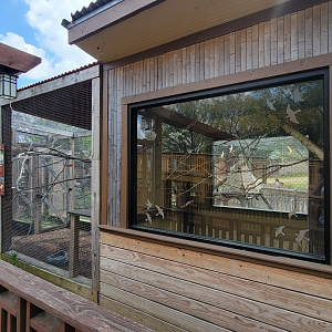 Apr. 2025 - Himalayan Passage - Bali Mynah Exhibit