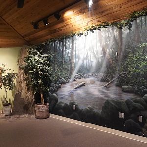 Apr. 2025 - Gombe Forest - Chimpanzee Interpretive Center