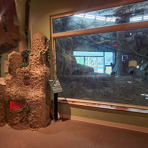 Apr. 2025 - Gombe Forest - Chimpanzee Interpretive Center - Termite Game + Chimpanzee/Black Mangabey Indoor Exhibit