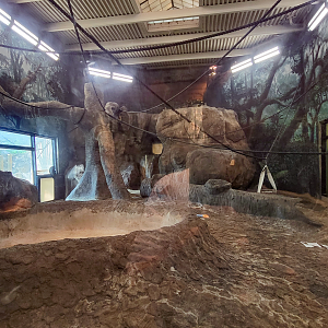 Apr. 2025 - Gombe Forest - Chimpanzee Interpretive Center - Chimpanzee/Black Mangabey Indoor Exhibit (Rotate)