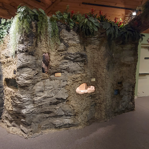 Apr. 2025 - Gombe Forest - Chimpanzee Interpretive Center - Wall Exhibits