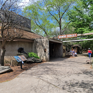 Apr. 2025 - Gombe Forest - Chimpanzee Interpretive Center - Entrance