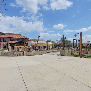 Apr. 2025 - Cape of Africa - General View