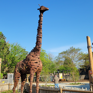 Apr. 2025 - Cape of Africa - Giraffe Sculpture