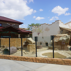 Apr. 2025 - Cape of Africa - Cape Porcupine Outdoor Exhibit