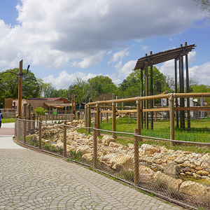 Apr. 2025 - Cape of Africa - Giraffe Large Exhibit + Main Path