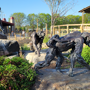 Apr. 2025 - Entrance - Chimpanzee Sculptures