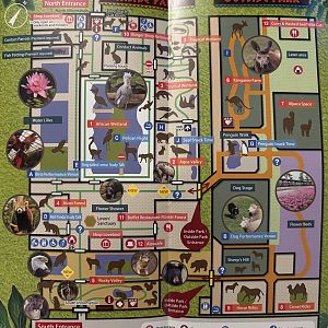 Zoo Map - March 2019