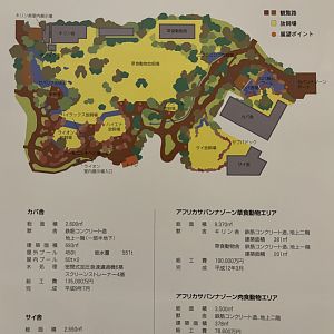African Savanna Map - undated