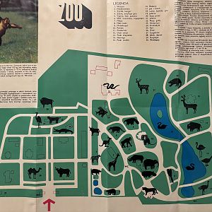 Zoo Map - 1970?