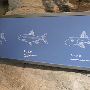 Signage example