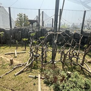 Francois Langur Exhibit #3