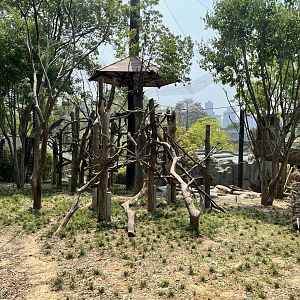 Rhesus Macaque Exhibit