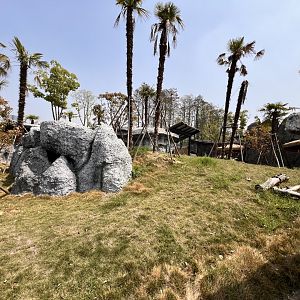 Giant Anteater Exhibit