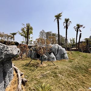 Giant Anteater Exhibit