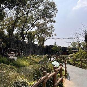 Massive Chinese Red Panda Exhibit