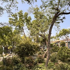 1 of 2 Giant Panda Exhibits