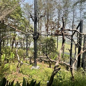 Red and Green Macaw Aviary
