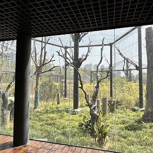 Lord Derby's Parakeet Aviary