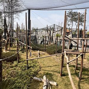 Mantled Guereza Exhibit