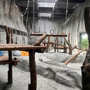 Chimpanzee Indoor Exhibit