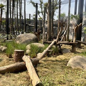 Patas Monkey Exhibit