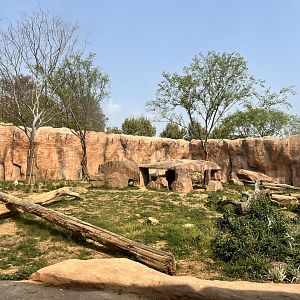 Lion Exhibit