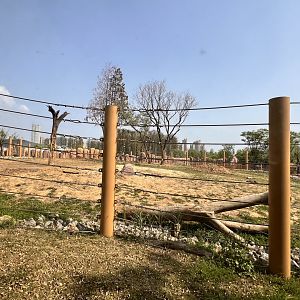 African Elephant Exhibit