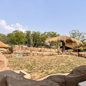 Southern White Rhinoceros Exhibit