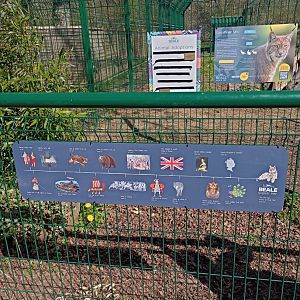 Timeline at lynx enclosure