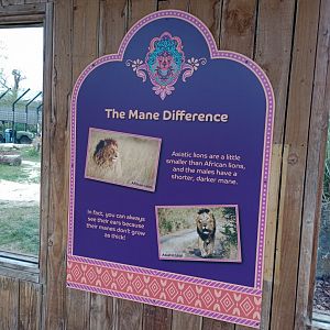 LIONS OF INDIA-Differences sign